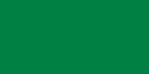 South Fayette School District