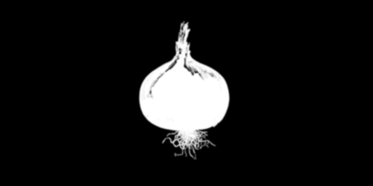 Onion Maiden