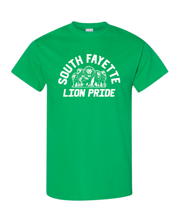 South Fayette Design 5