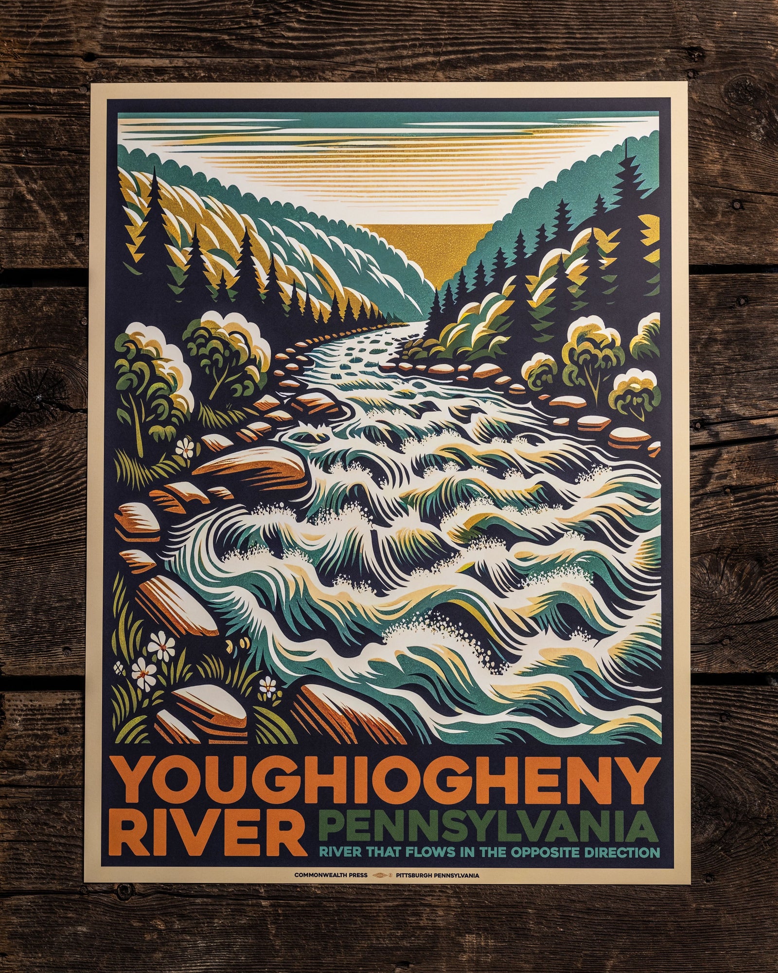 Georgia Rivers Posters Youghiogheny River Poster - cwpress