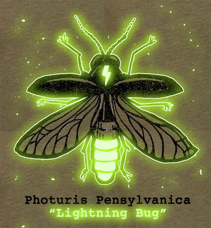 Lightning Bug