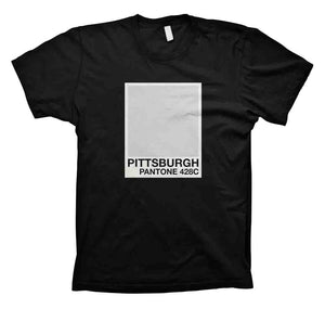 PITTSBURGH Pantone 428c